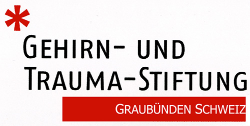 Logo GTSG