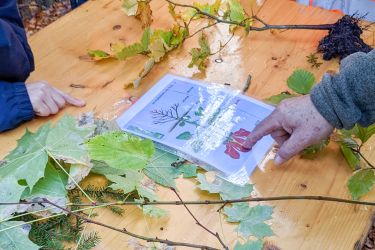 ibW Bildungszentrum Wald &amp; Nationaler Zukunftstag