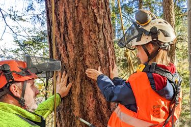 ibW Bildungszentrum Wald &amp; Nationaler Zukunftstag