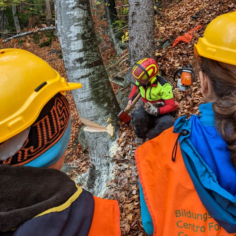 ibW Bildungszentrum Wald & Nationaler Zukunftstag