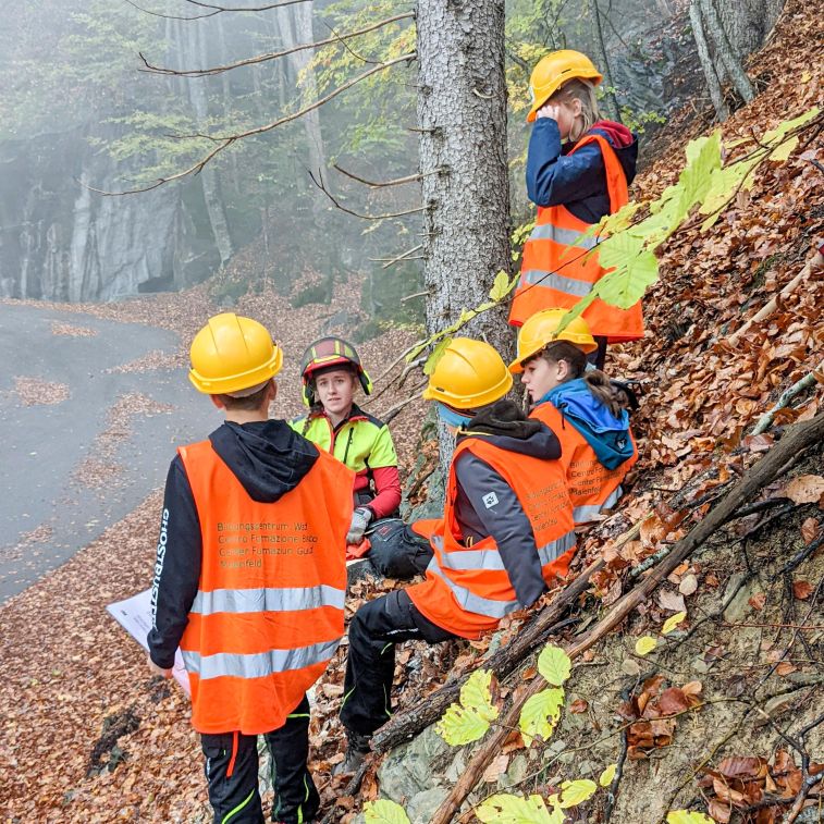 ibW Bildungszentrum Wald & Nationaler Zukunftstag