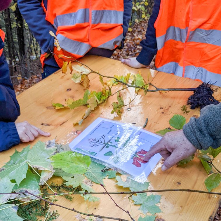 ibW Bildungszentrum Wald & Nationaler Zukunftstag