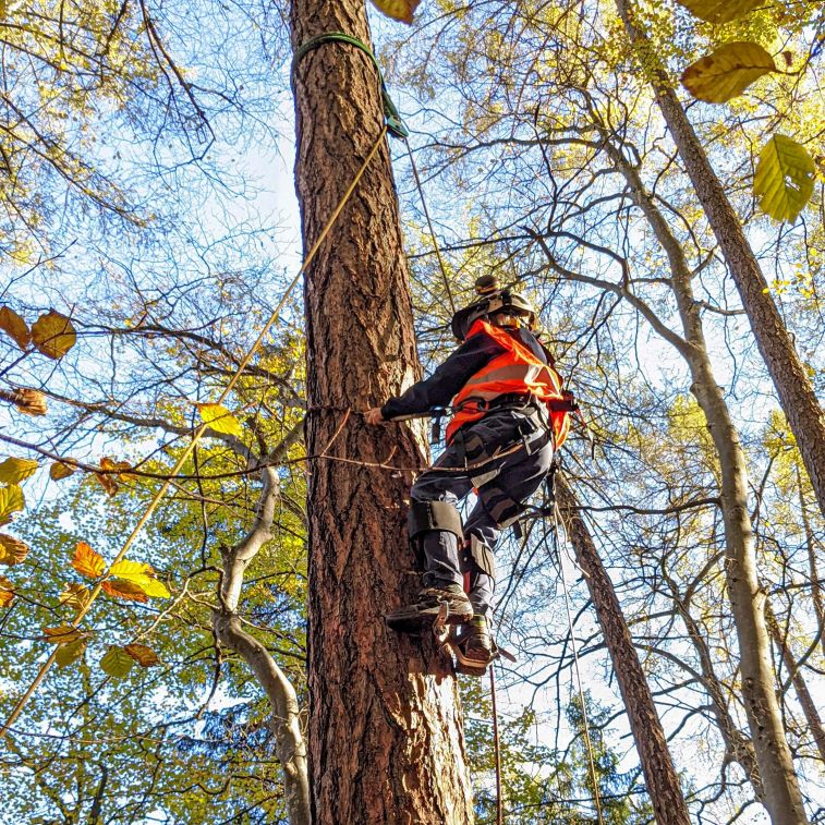 ibW Bildungszentrum Wald & Nationaler Zukunftstag